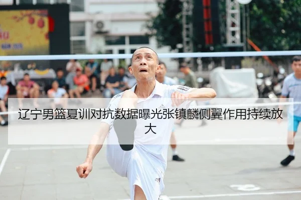 辽宁男篮夏训对抗数据曝光张镇麟侧翼作用持续放大