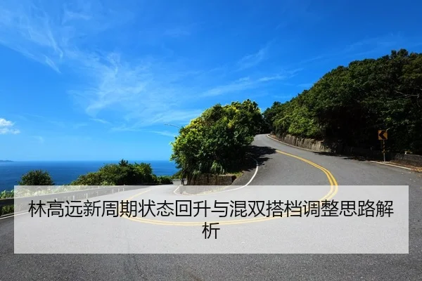 林高远新周期状态回升与混双搭档调整思路解析