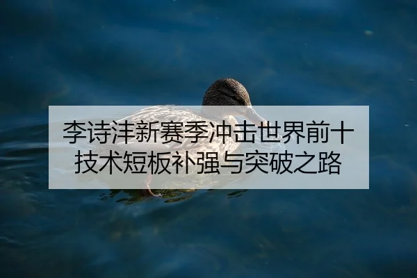 李诗沣新赛季冲击世界前十 技术短板补强与突破之路